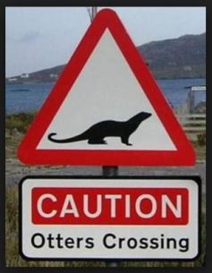 otters-crossing-sign